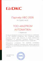 DKC рус мал.png